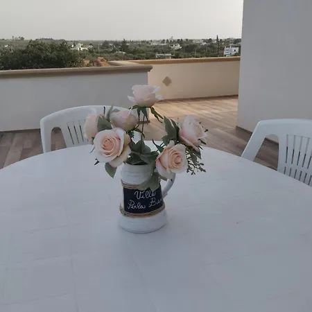 Villa Privata Perla Bianca - Terrazza e Camino- by Gessica Holiday Polignano a Mare